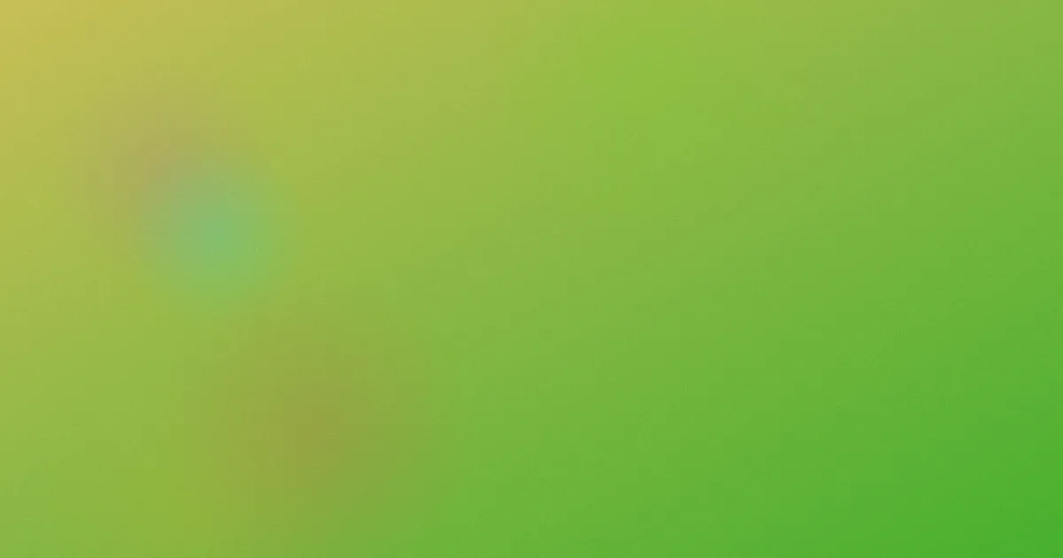 a天堂测评：避坑流程
